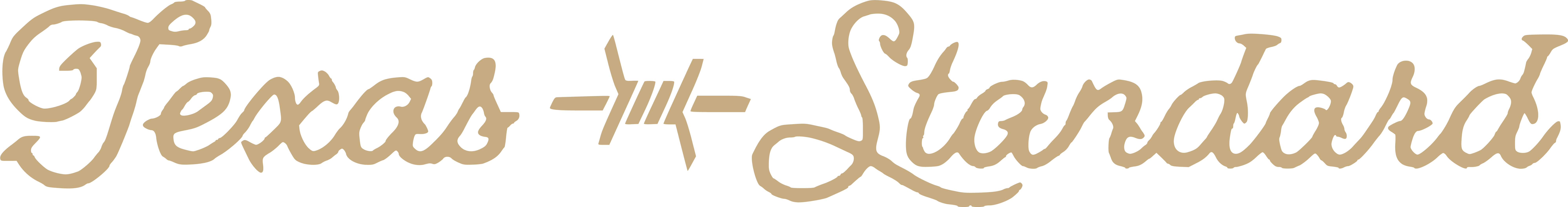 Texas Standard logo