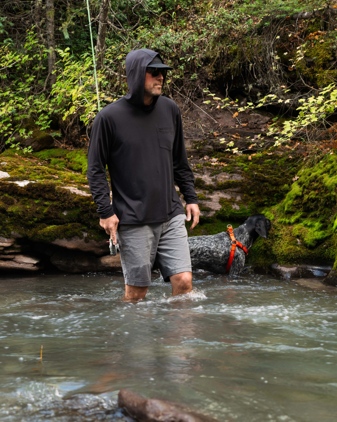 Brazos Hoodie - Starling